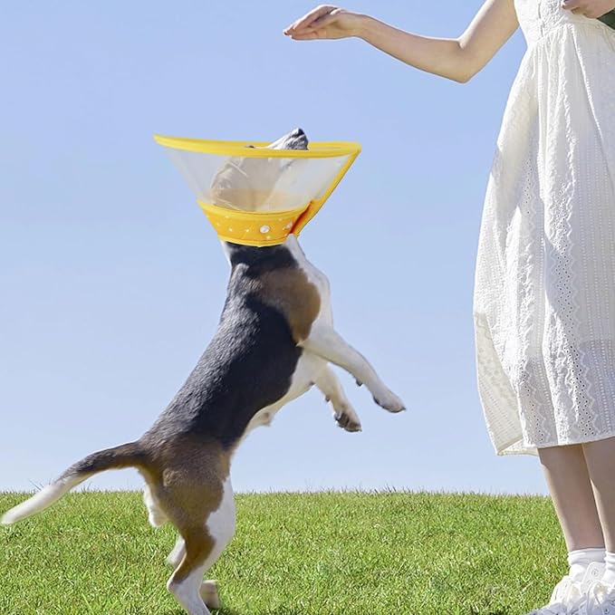 Pet Cone Recovery Dog Cone Adjustable Dog Collar Clear Padded Collar - Image 4