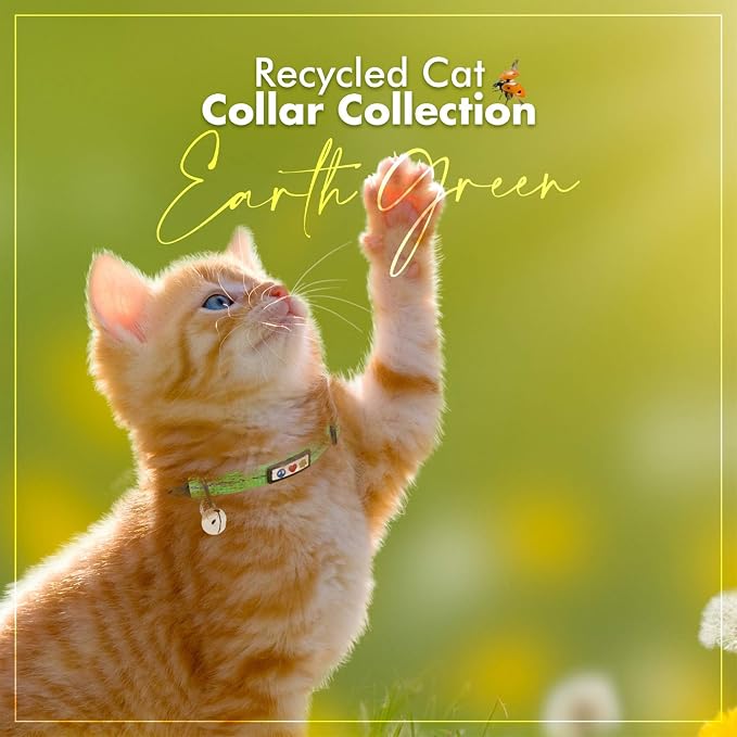 Pawtitas Recycled Green Reflective Cat Collar – Eco-Friendly Breakaway Safety - Image 9