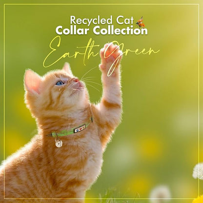 Pawtitas Recycled Green Reflective Cat Collar – Eco-Friendly Breakaway Safety - Image 9