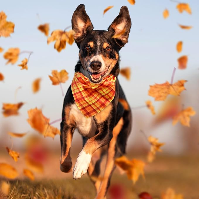 Abbylike 50 Pcs Orange Plaid Dog Bandanas Bulk Check Pattern Bandanas - Image 4
