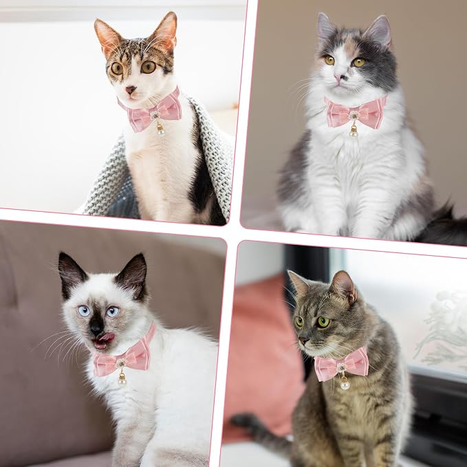 Cat Collar Breakaway, Cat Collar - Image 6
