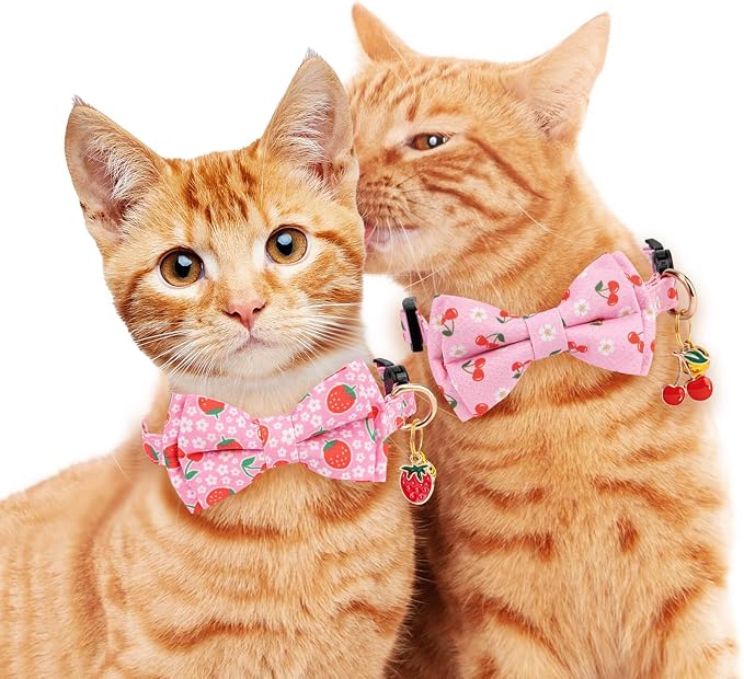 2 Pack Breakaway Cat Collar - Image 6