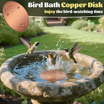 NNG 2 Pack Bird Bath Copper Disk, 1mm Thick Reinforced 99.9% Pure Copper Bird - Image 6