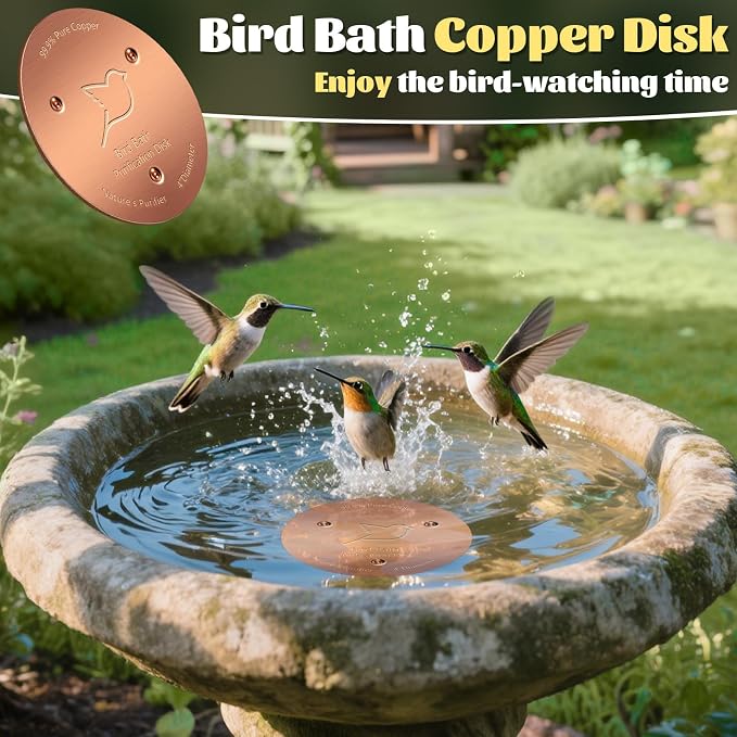 NNG 1 Pack Bird Bath Copper Disk, 1mm Thick Reinforced 99.9% Pure Copper Bird - Image 6