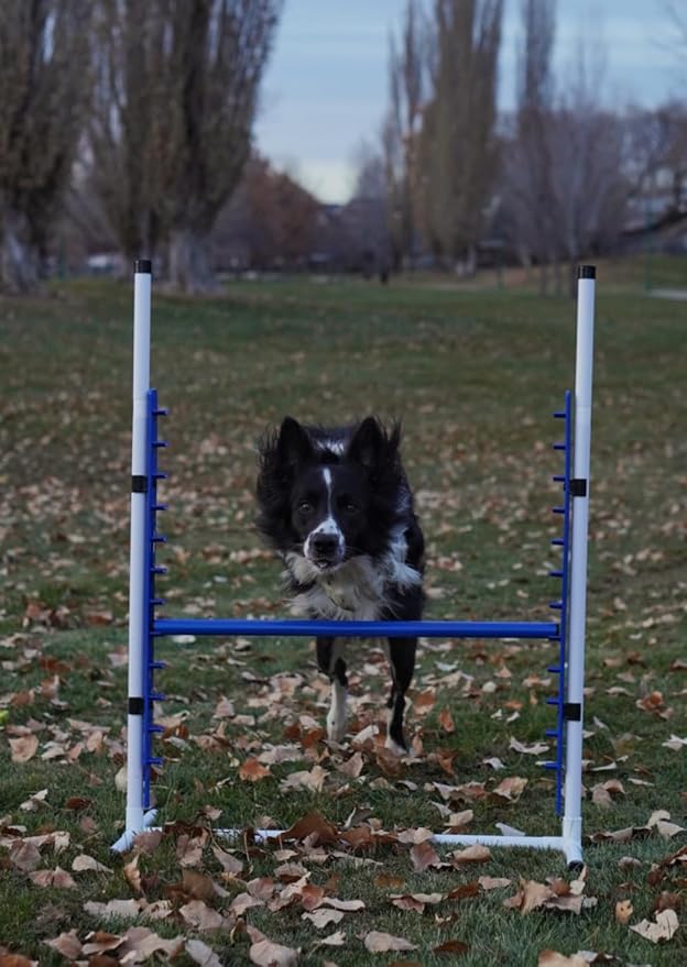 Better Sporting Dogs 4 Pack Adjustable Dog Agility Bar Jumps w/Cup Strips | - Image 4