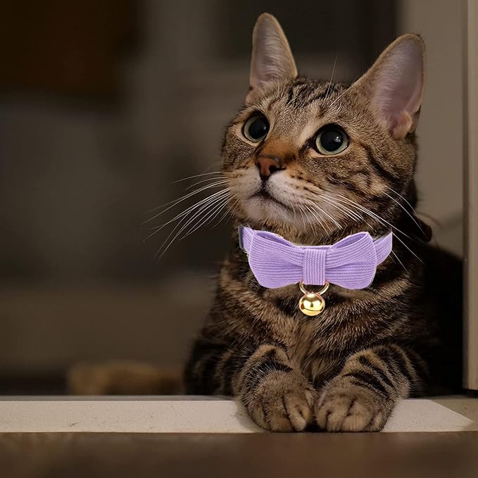 Cotton Breakaway Cat Collar - Image 6