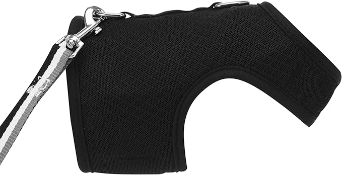 Kitty Harness and Leash for Walking Escape Proof Breathable Mesh Fabric - Image 6