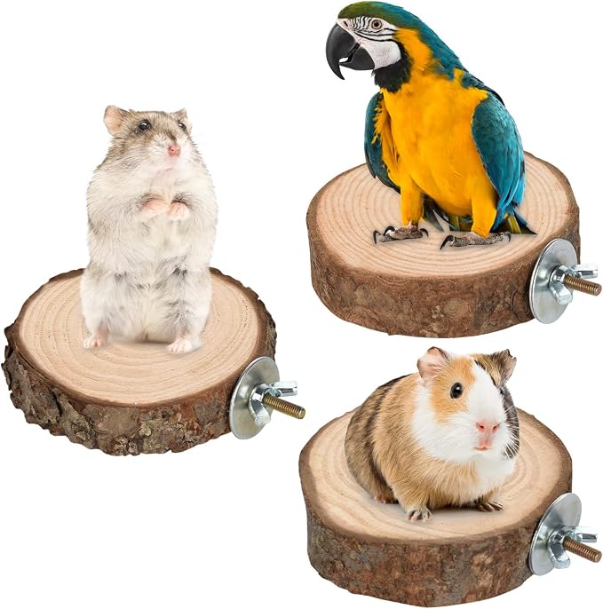 36 PCS Bird Perches Stand Toy, Natural Wood Parrot Perch Stand Bird Cage - Image 3