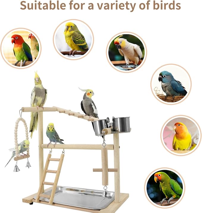 Bird Playground, Playstand for Parrot Cage Accessories - Image 4