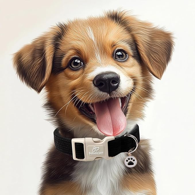 Cute Corduroy Dog Collar - Image 2