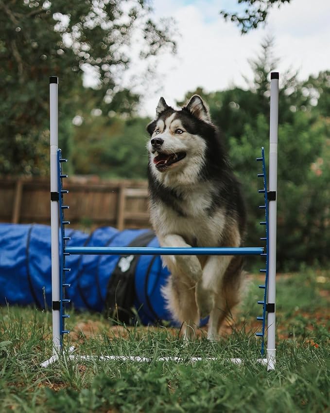 Better Sporting Dogs 4 Pack Adjustable Dog Agility Jumps w/Safety-Focused - Image 5
