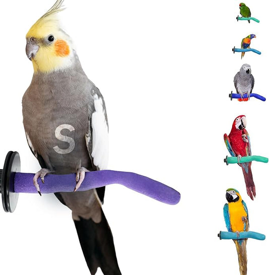 Sweet Feet and Beak Safety Pumice Perch by Sweet+Feet+%26+Beak