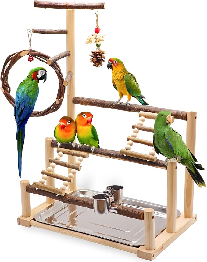 ‌Bird Playground, Natural Wooden Parrot Stand by Unknown