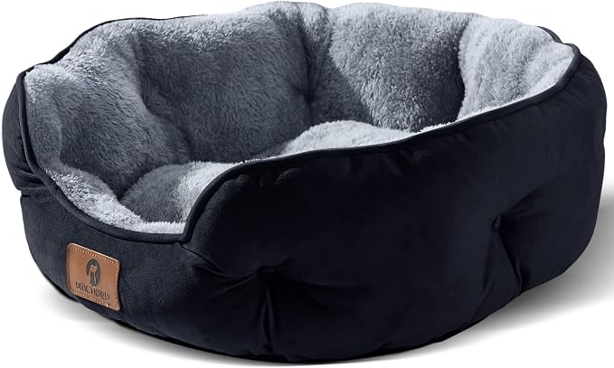 Asvin Medium Dog Bed for Medium Dogs, Large Cat Beds for Indoor Cats, Pet Bed by Asvin