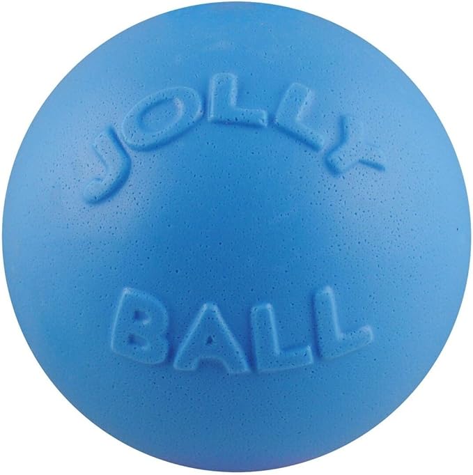 Jolly Pets Bounce-n-Play Dog Toy Ball, 8 Inches/Large - Image 3