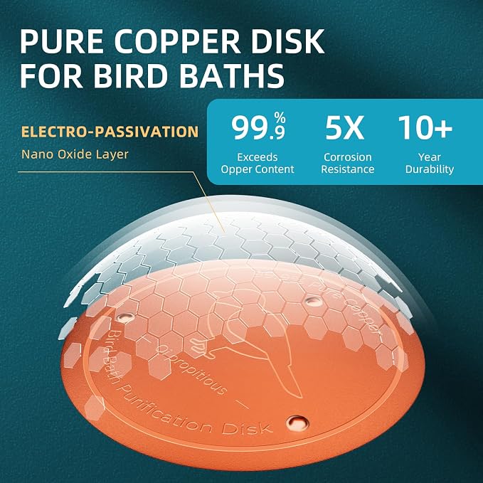 Bird Bath Copper Disk – 99.99% Pure Copper Water Cleaner, 1 mm Thick - Image 4
