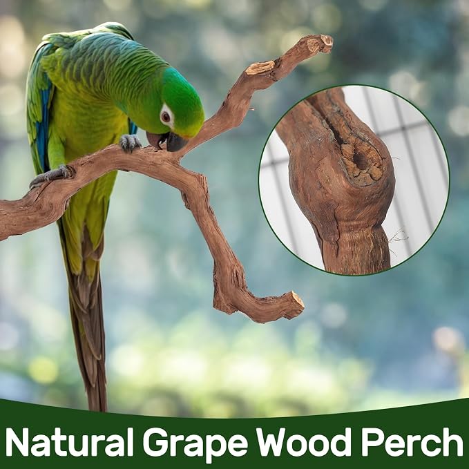 6-Piece Premium Bird Perch Stand - Image 2