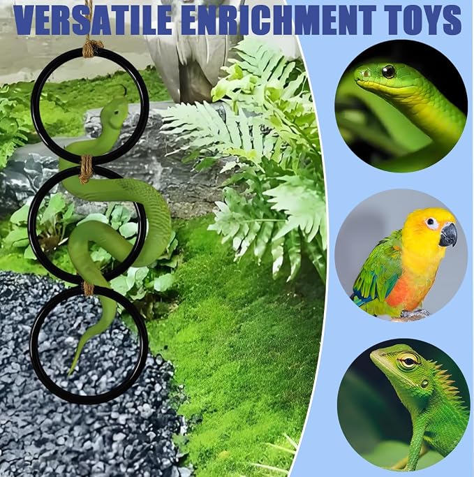 Snake Enrichment Toys Ball, Jungle Gym Ball and Enrichment Rings - Image 6