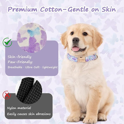 Elegant Butterfly Dog Collar, Adjustable Comfortable - Image 5