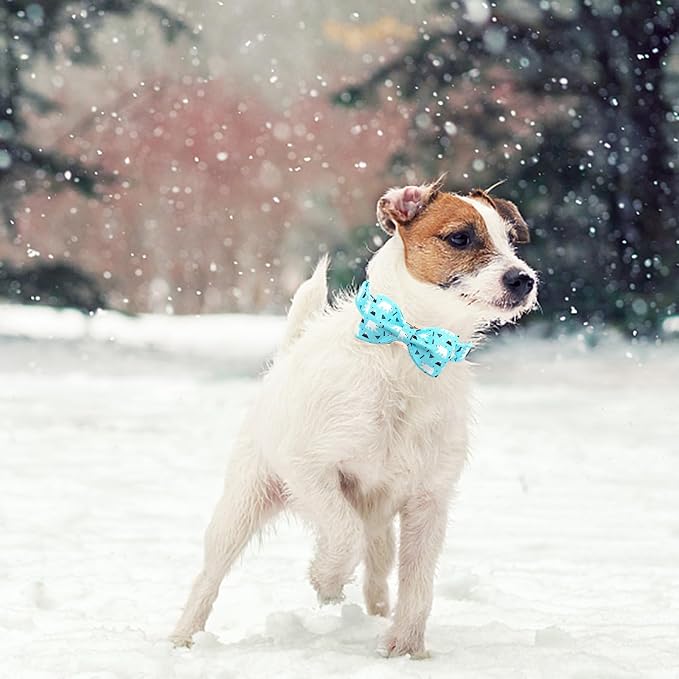 Dog Collar, Bow Collar Blue Bear Pattern Pet Collar Cute Bow Tie Soft Girl Boy - Image 5