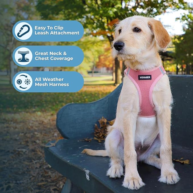 Best Pet Supplies Voyager Step-in Air All Weather Mesh Harness and Reflective - Image 5