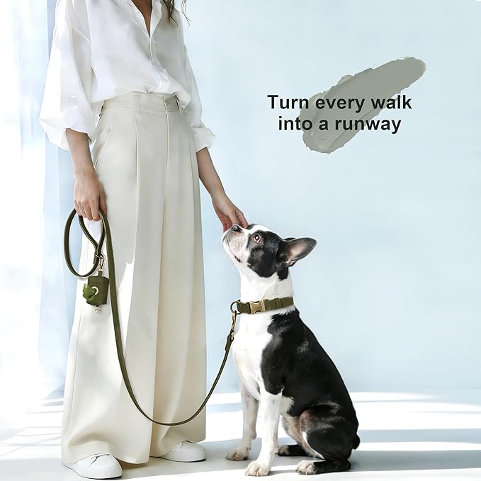 Didog Soft PU Leather Dog Collar, Stylish Quick Released Dog Collars - Image 4