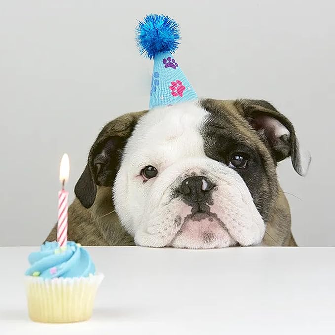 6pcs/Pack Mini Dog Party Hats for Small XS Cat Puppy Doggie Kitten Rabbit - Image 7