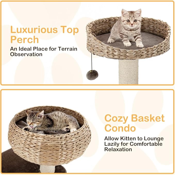PETSITE 41 Inch Modern Cat Tree - Image 3