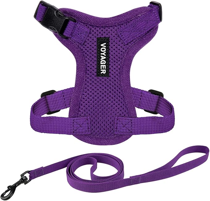 Voyager Escape-Proof Step-in Lock Cat Harness & 5ft Neoprene-Handle Leash Set by BestPetSuppliesLLC