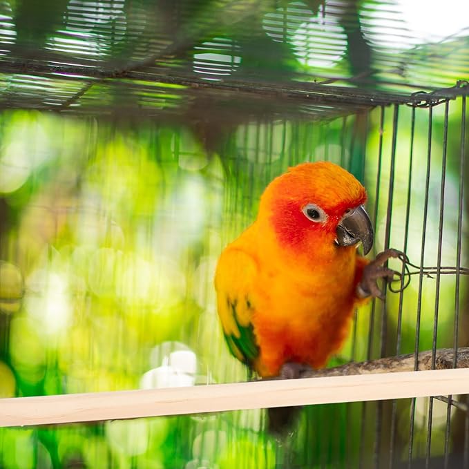 Veemoon Wood Bird Perch Stand 5pcs Parrot Cage Stick Standing Sticks Climbing - Image 7