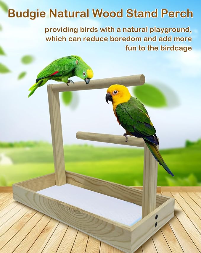 Small Bird Training Stand Portable Tabletop Birds Perch Desktop Platform - Image 3