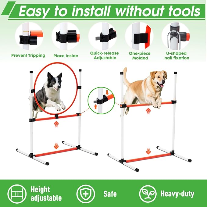 Dog Agility Course Backyard Set, Dog Agility Equipment, Pet obstacle Course - Image 4