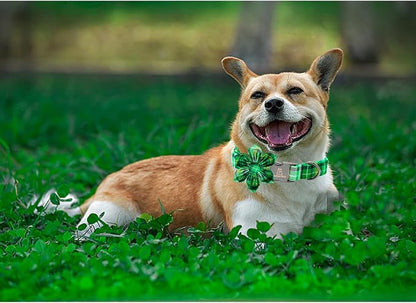 Lionheart glory St. Patrick's Day Dog Collar - Image 5