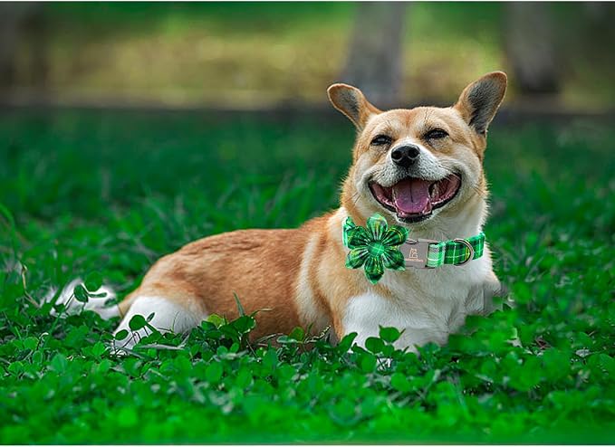 Lionheart glory St. Patrick's Day Dog Collar - Image 5