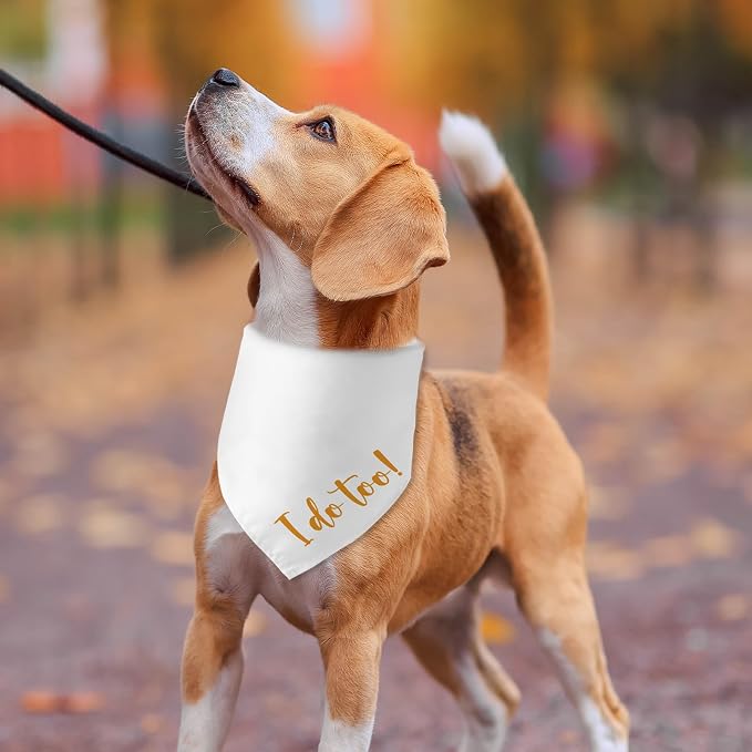 Engagement Gifts I do Too! Dog Bandana Pet Scarf Wedding Photo Prop Pet - Image 6
