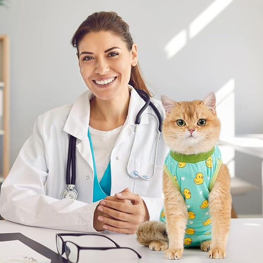 Avont Cat Recovery Suit - Image 2