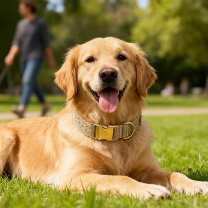 TDTOK Stylish Leather Dog Collar, Comfortable Soft PU Leather Dog Collars - Image 6