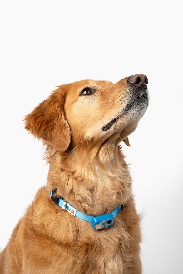MS-5 Designer Series, Premium Performance Automatic Pet Door Collar by High - Image 2