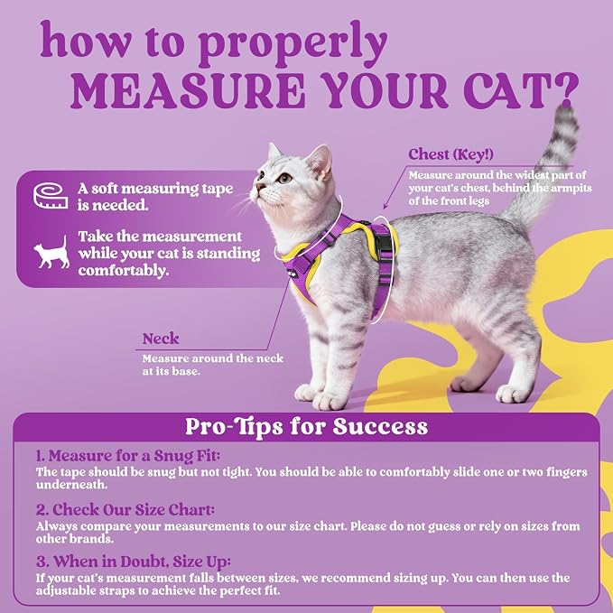 rabbitgoo Cat Harness and Leash - Image 2
