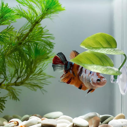 Beta Fish Toys, Betta Fish Tank Decorations Aquarium Decor - Image 5
