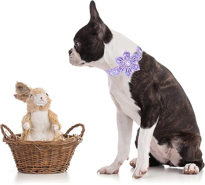 MR. CHUBBYFACE Easter Dog Collar, Adjustable Puppy Collar Bowtie - Image 5