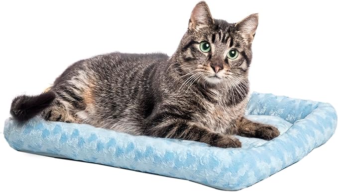 MidWest Homes for Pets QuietTime Fashion XXS Dog Bed – Blue Faux Fur Bolster by MidWestHomesForPets