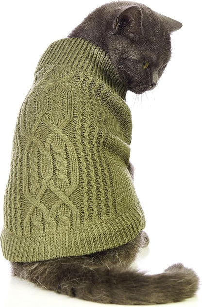 Stretchy Cat Sweater by Jnancun