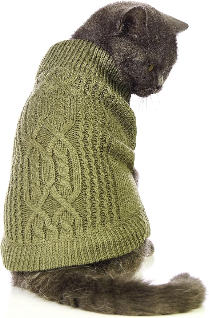 Stretchy Cat Sweater by Jnancun
