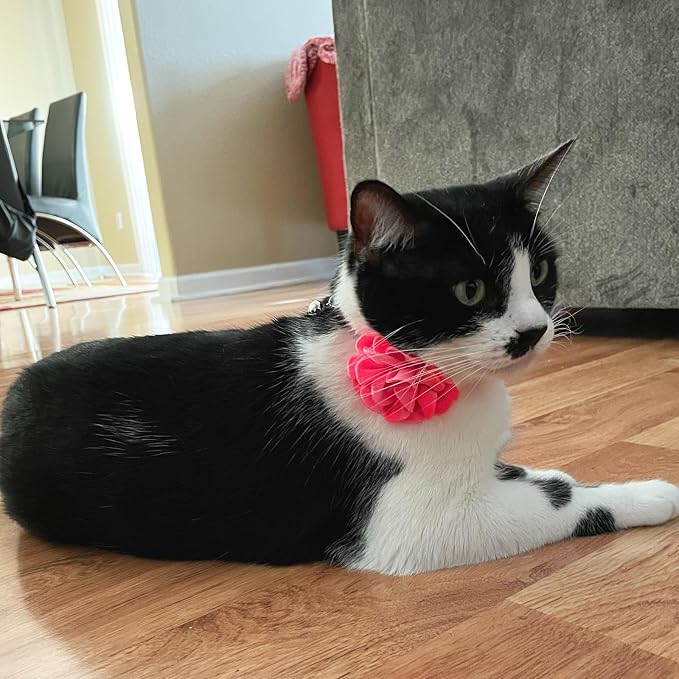azuza 2 Pack Cat Collar Floral - Image 8