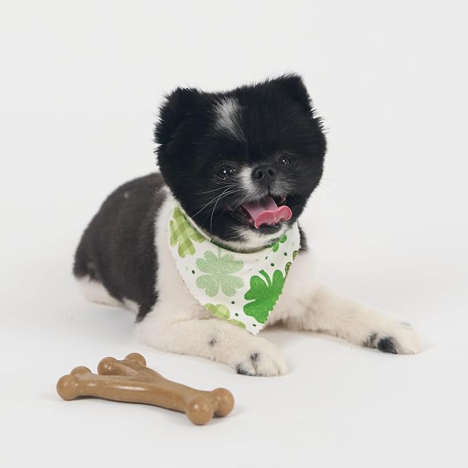 SPOT Bam-Bones Wishbone - Image 12