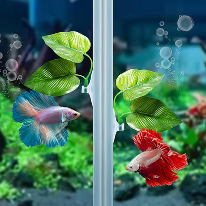 CousDUoBe 3 Pack Betta Fish Leaf Pad Improves Betta's Health by Simulating The - Image 5