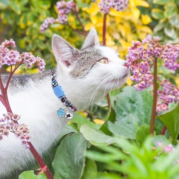 SCENEREAL Breakaway Cat Collar - Image 6