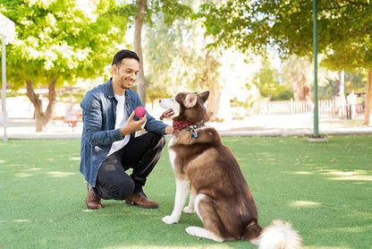 Snug Rubber Dog Balls for Small and Medium Dogs - Image 3