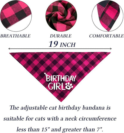 STMK Cat Birthday Party Supplies - Image 5